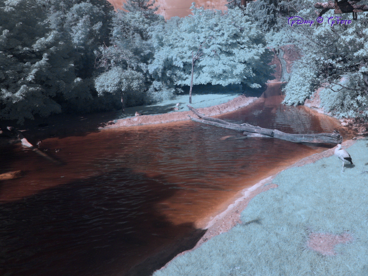 TY010117
