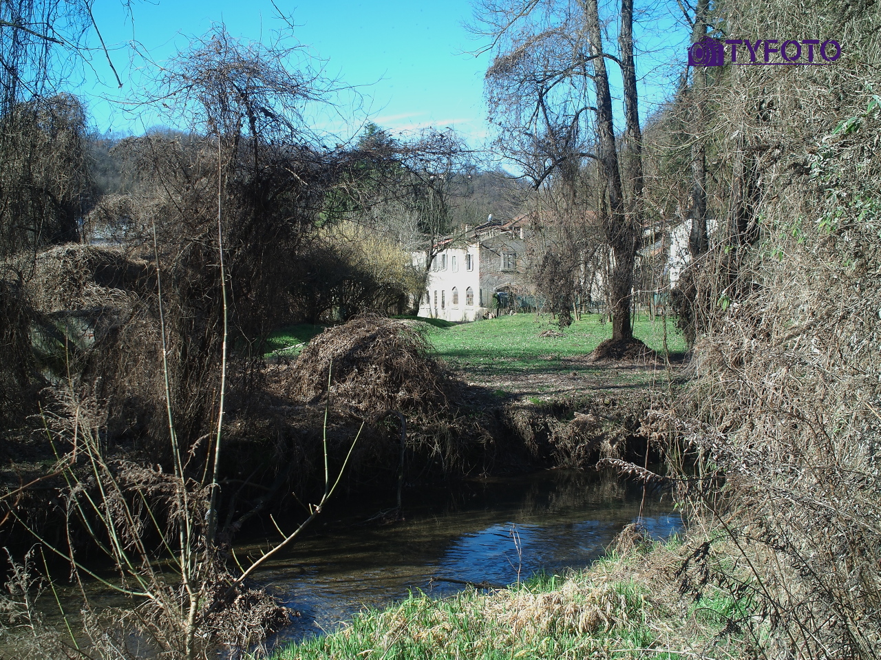 TY151955