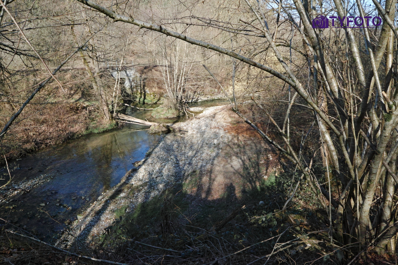 SDIM0250
