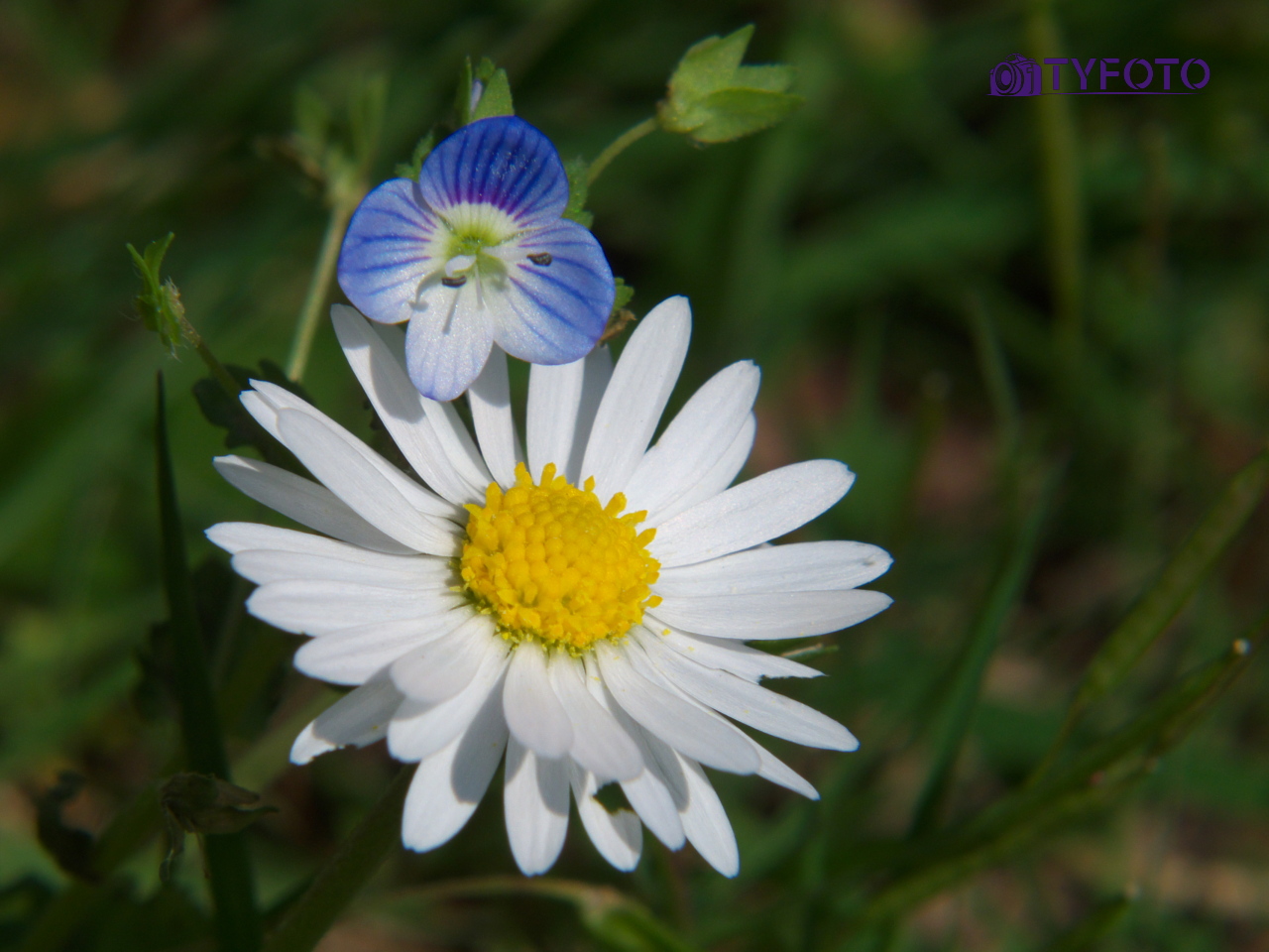 IMGP0148