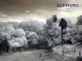 TY281822