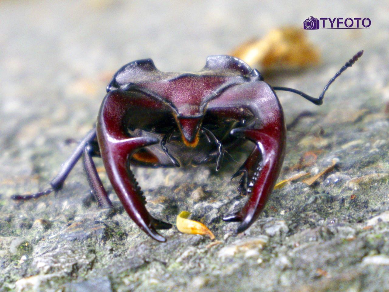 IMGP0023
