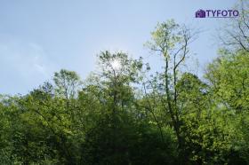 TYKP0125