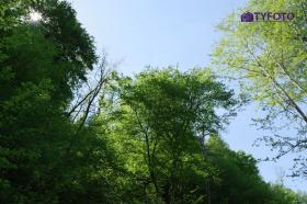 TYKP0168