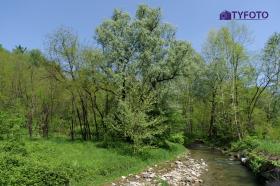 TYKP0173