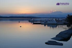 B44B0229