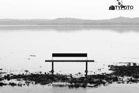TYF_0668