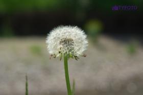 DSCF0120