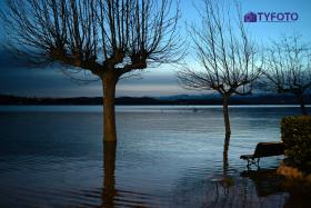 TYF_0146