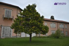 TYF_0739