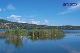 DSCF0203