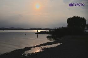 TYF_0825
