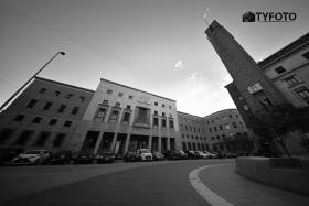 TYF_0282