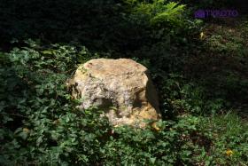 DSCF0204