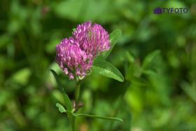 DSCF0169