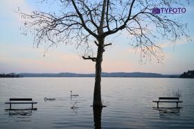 TYF_0198