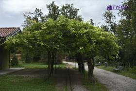 TYF_0732