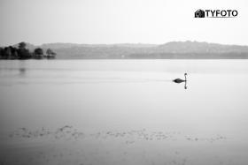 TYF_0553
