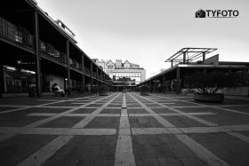 TYF_0241