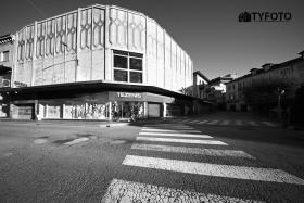 TYF_0239