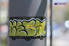 TYC_0177