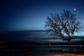 TYF_0164