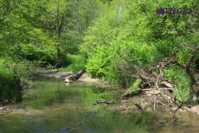 DSCF0165