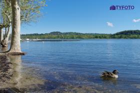 TYKS0053