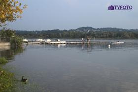 TYF_0771