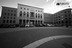 TYF_0280