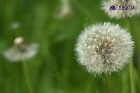 DSCF0093