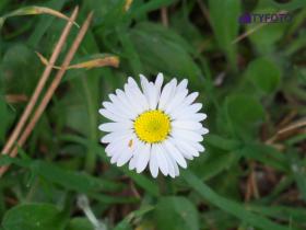 IMGP0116