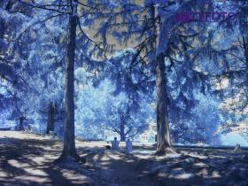 U6130372