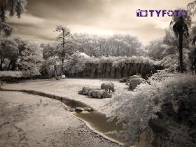 TY281820