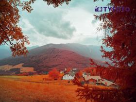 UF8290837