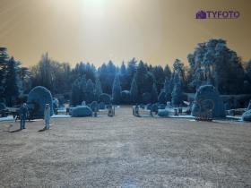 TY011910