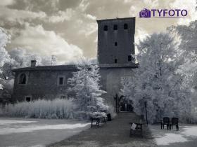 TY061884