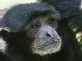 23-K5281338