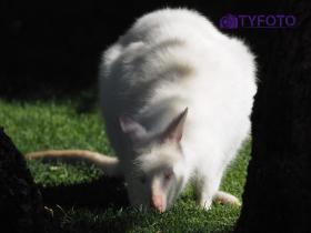 T5016077
