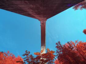 U8080277