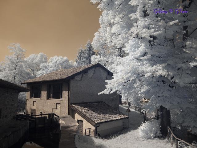 TY280249