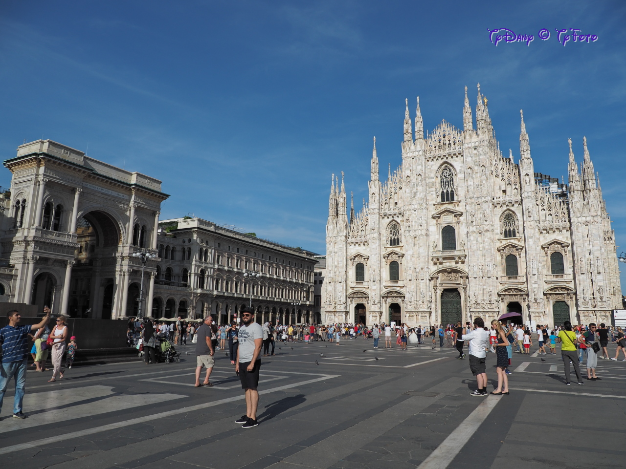 Gallery P8151598 gallery-p8151598