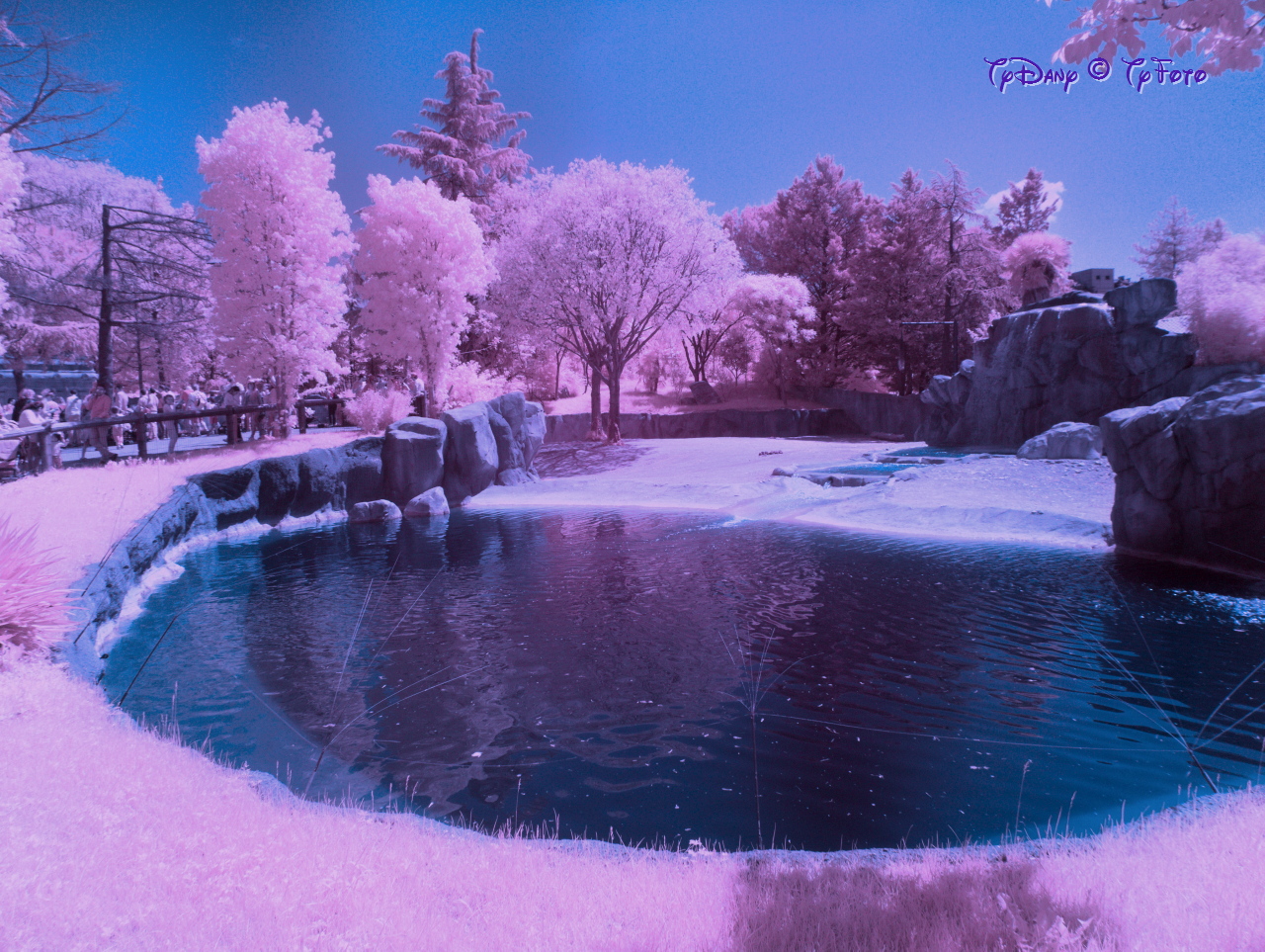 IR-Color IR-Color