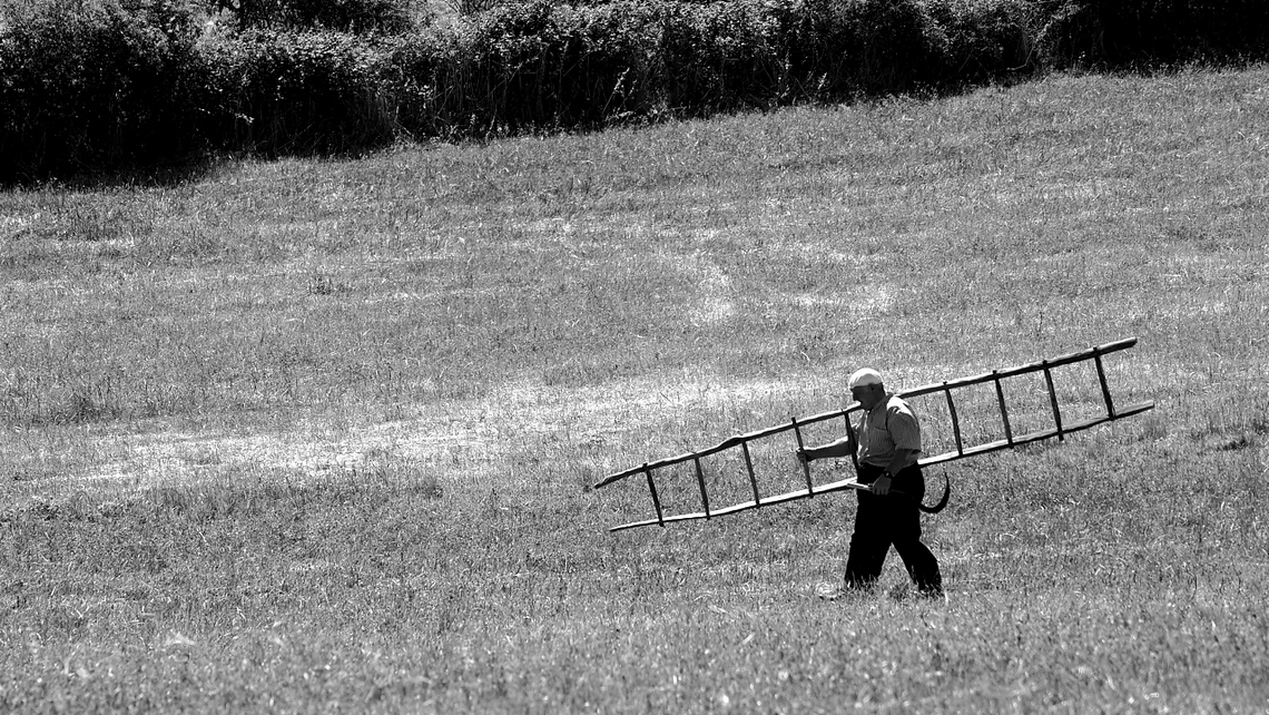 BW_Vacanze-2017