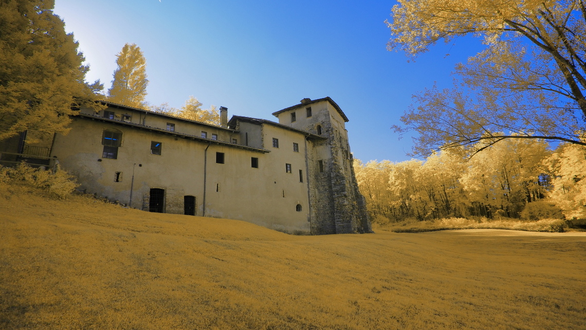 IR_Torba-2021