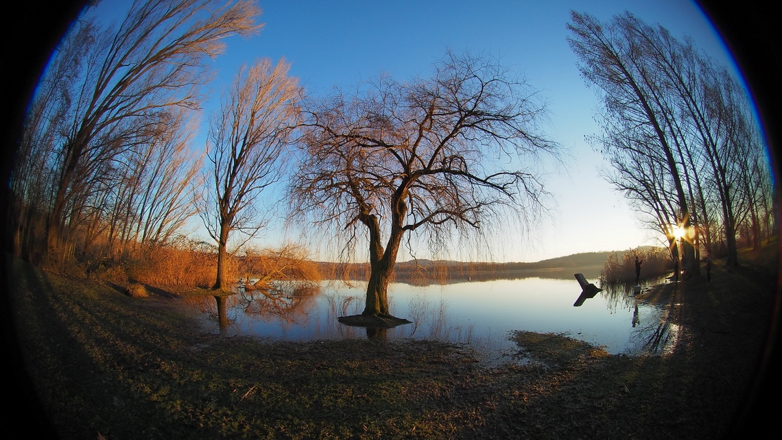 Round_Lago-2020