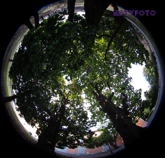 025 F8070890