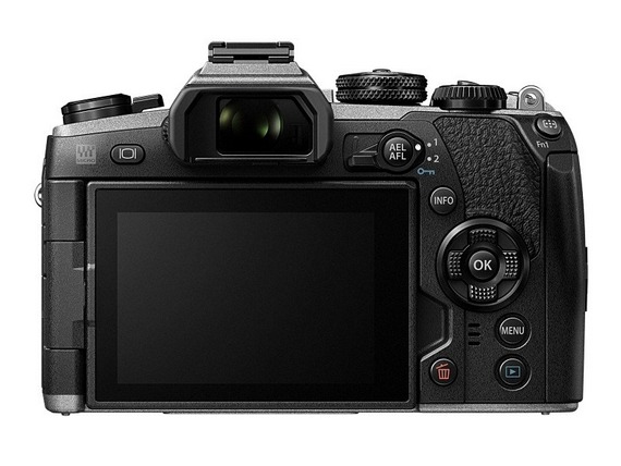 OlympusEM1IIa