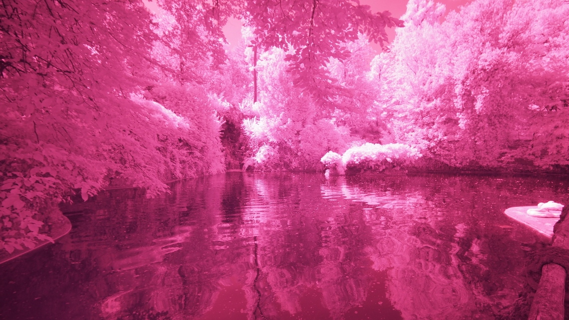 Foto IR in auto